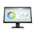 HP P204v 19.5-inch Monitor